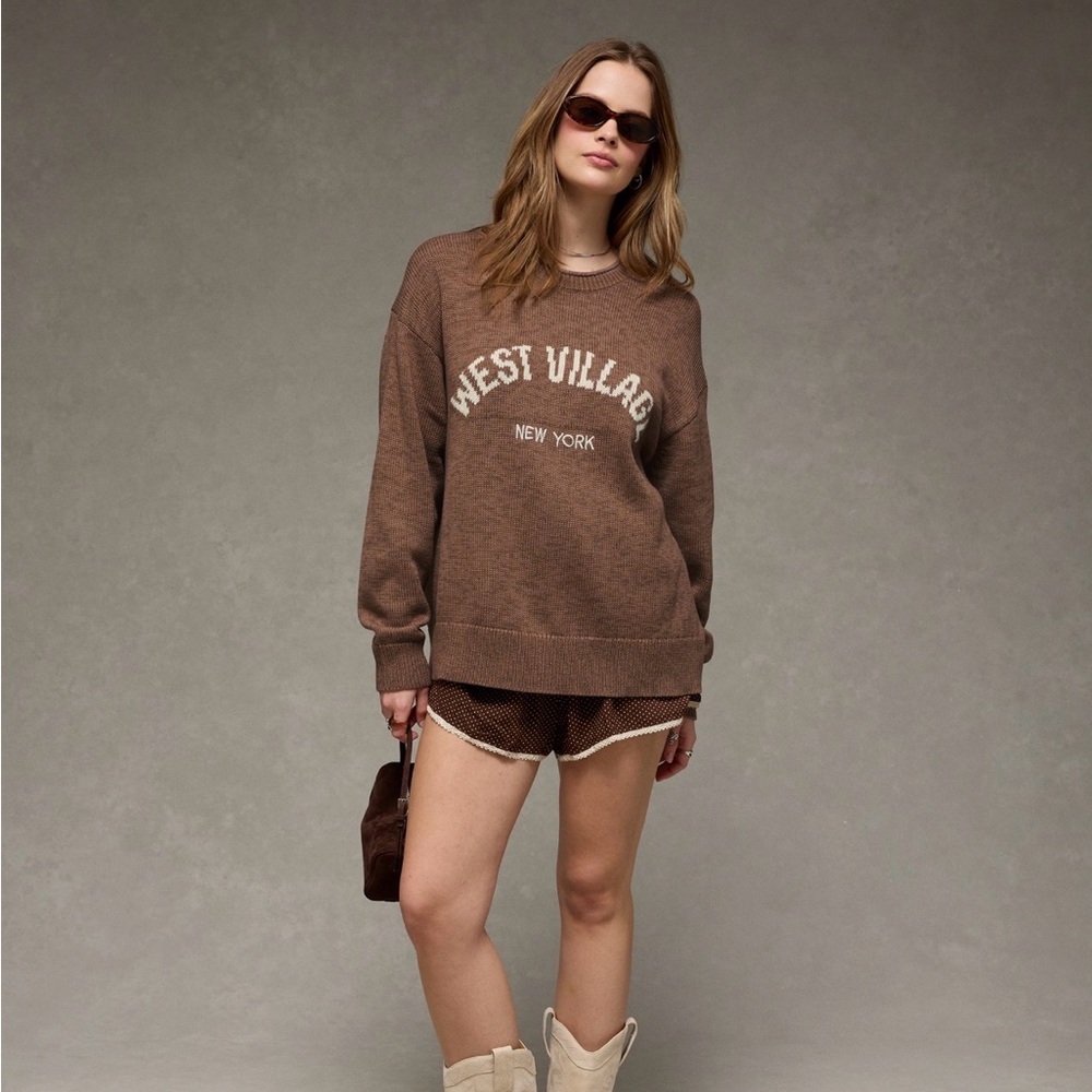 American Eagle Outfitters Brown Crew Neck Sweater